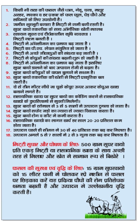 Freshly grown tomatoes